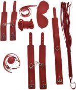 set-bdsm-1